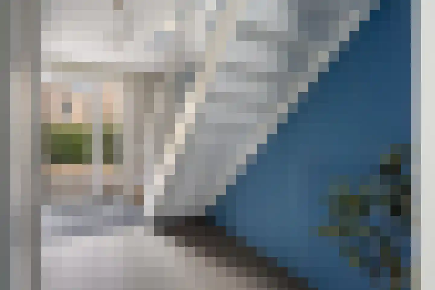 Rudolf Kattnigghof 1 Utrecht thumbnail 8
