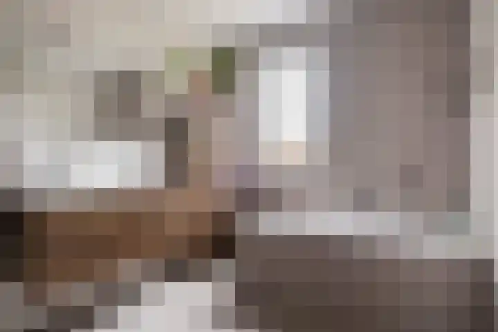 Rudolf Kattnigghof 9 Utrecht thumbnail 28