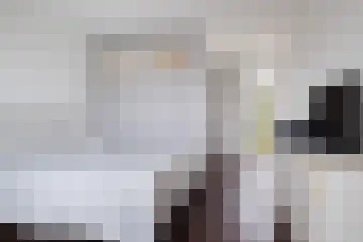Rudolf Kattnigghof 9 Utrecht thumbnail 30