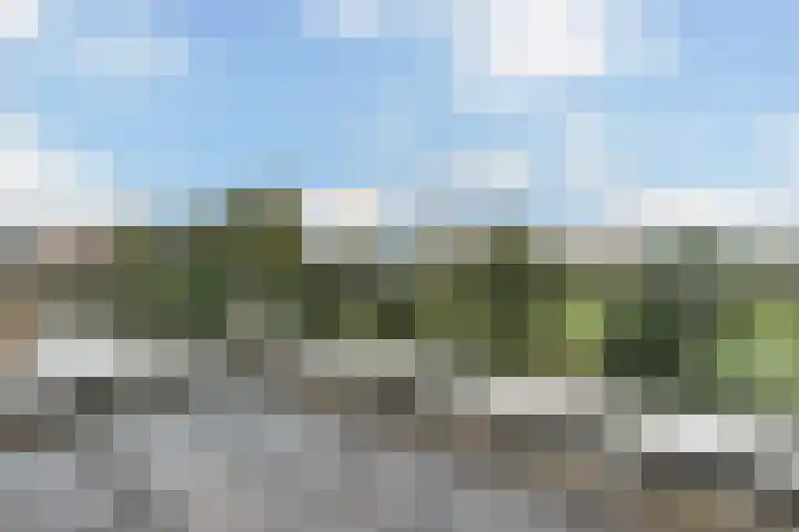 Rudolf Kattnigghof 9 Utrecht thumbnail 33