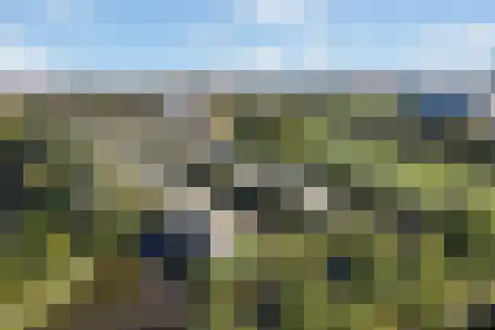 Rudolf Kattnigghof 9 Utrecht thumbnail 37