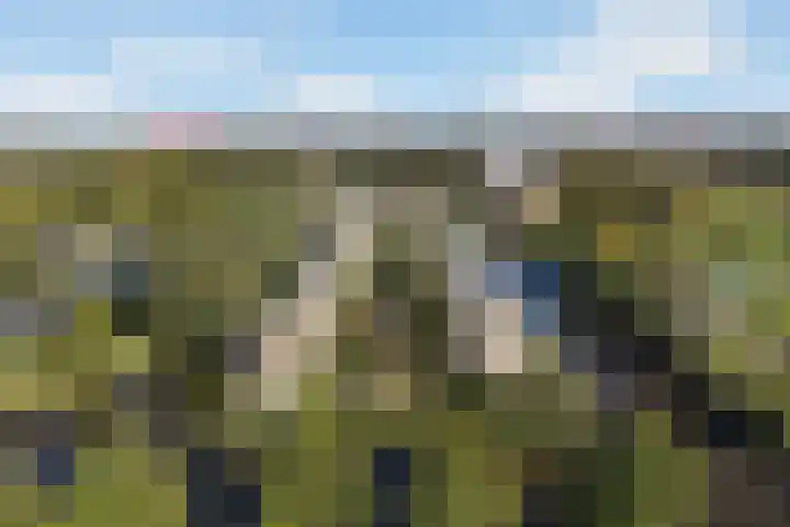 Rudolf Kattnigghof 9 Utrecht thumbnail 38
