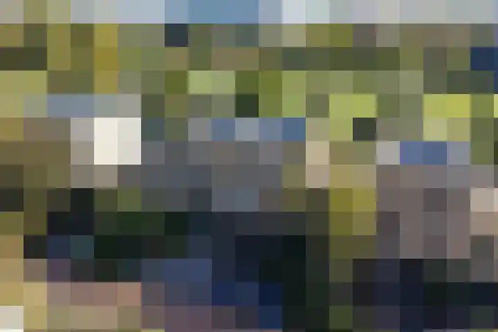 Rudolf Kattnigghof 9 Utrecht thumbnail 39