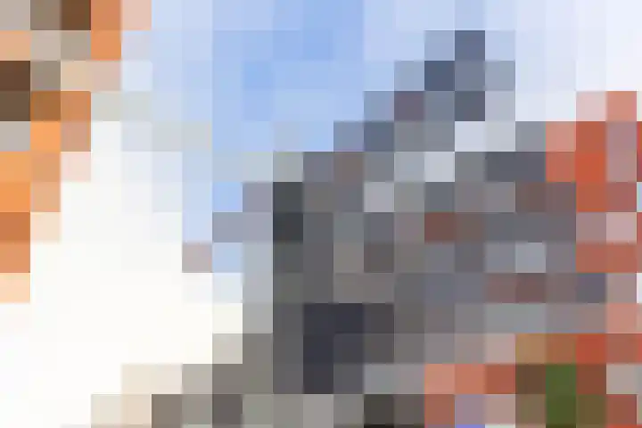 Rudolf Kattnigghof 9 Utrecht thumbnail 47