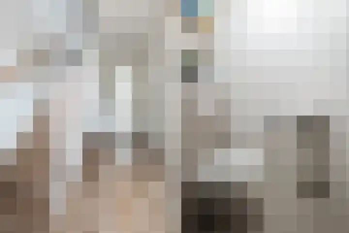 Rudolf Kattnigghof 9 Utrecht thumbnail 6