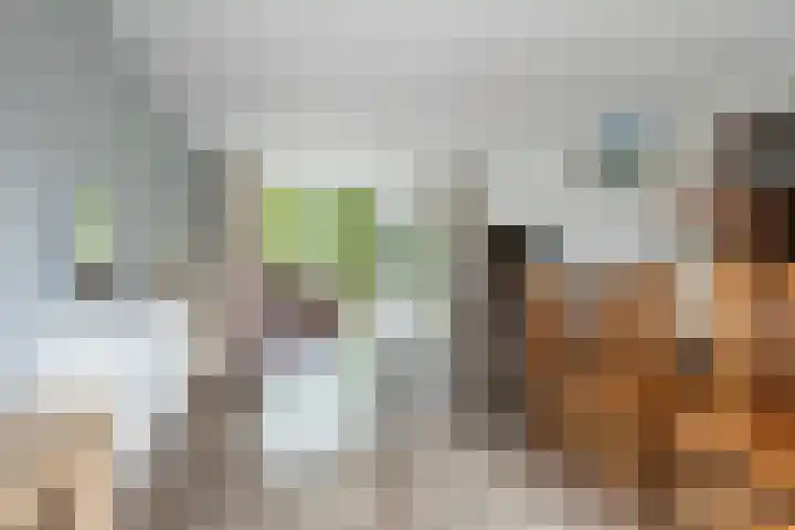 Rudolf Kattnigghof 9 Utrecht thumbnail 7