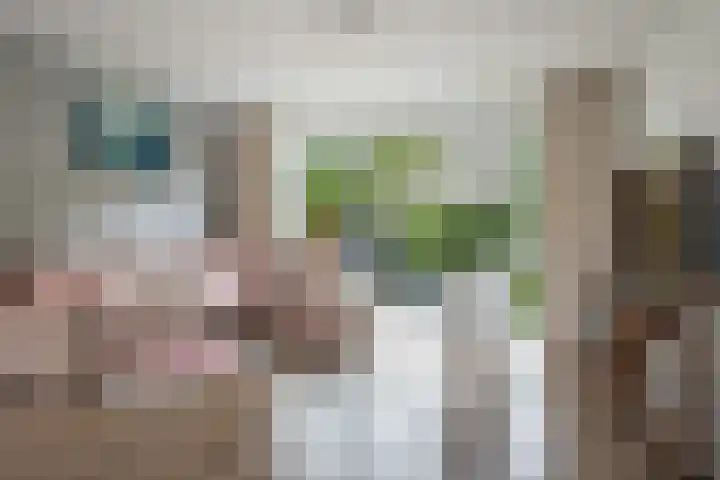 Rudolf Kattnigghof 9 Utrecht thumbnail 8