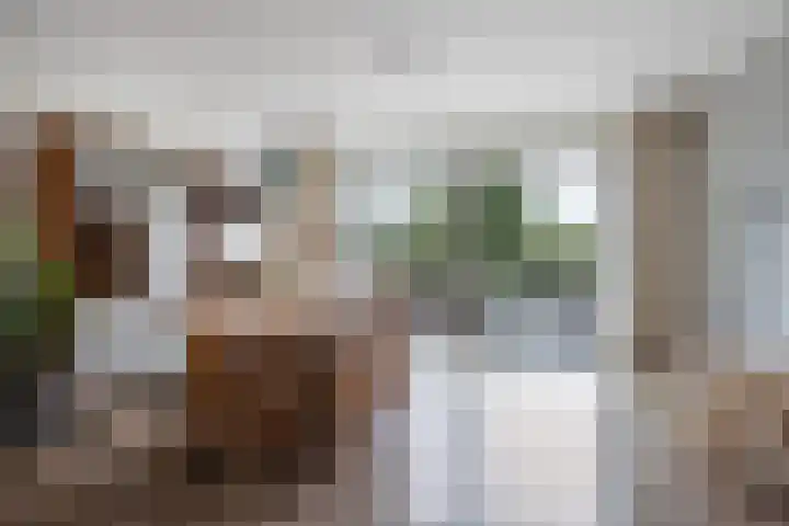 Rudolf Kattnigghof 9 Utrecht thumbnail 9