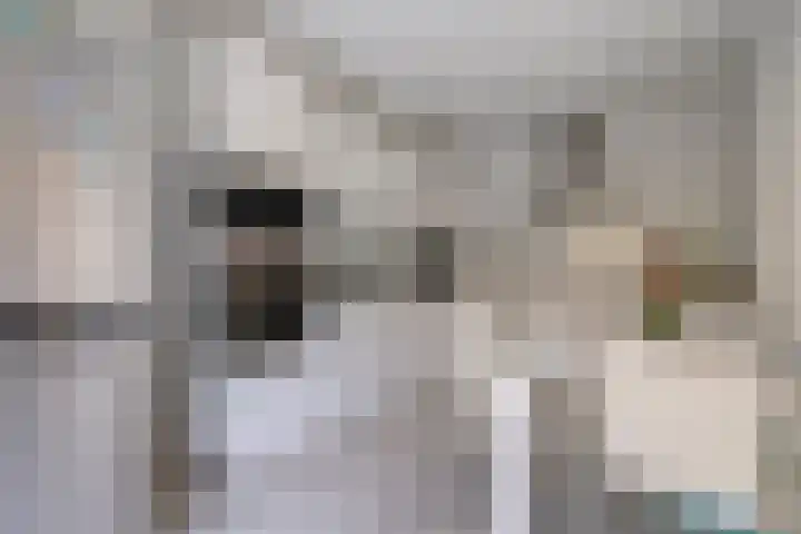 Rudolf Nureyevstraat 97 Almere thumbnail 9