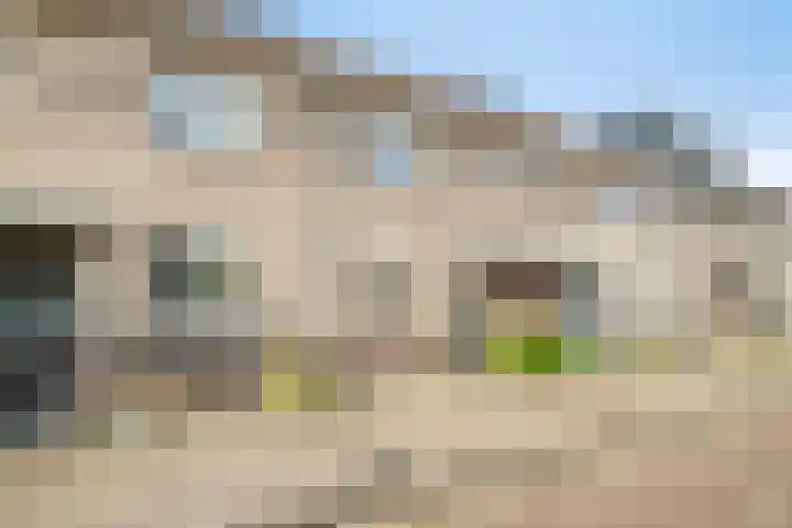 Rudolf Slanskystraat 31 Haarlem thumbnail 4