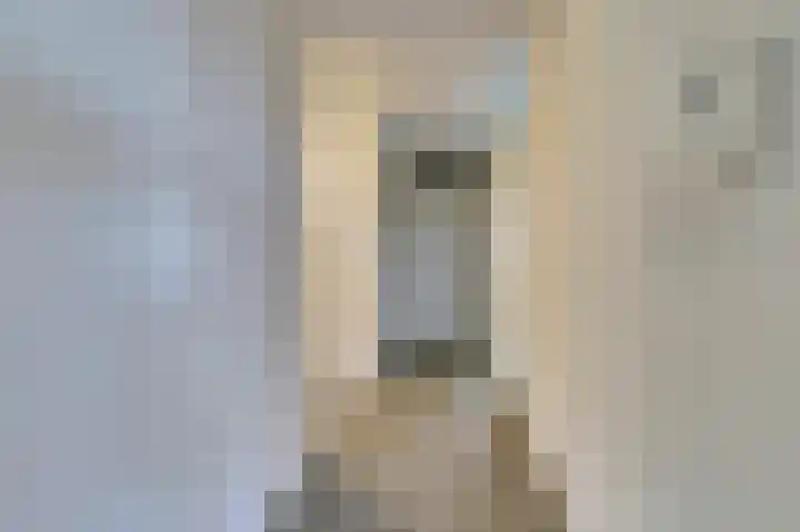 Rudolf Steinerlaan 185 Zutphen thumbnail 13