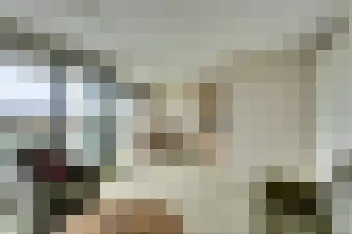Rudolf Steinerlaan 185 Zutphen thumbnail 16