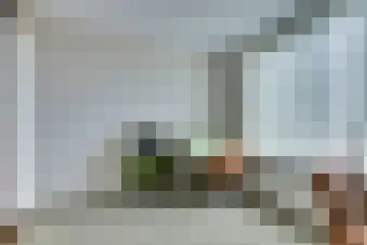 Rudolf Steinerlaan 185 Zutphen thumbnail 22