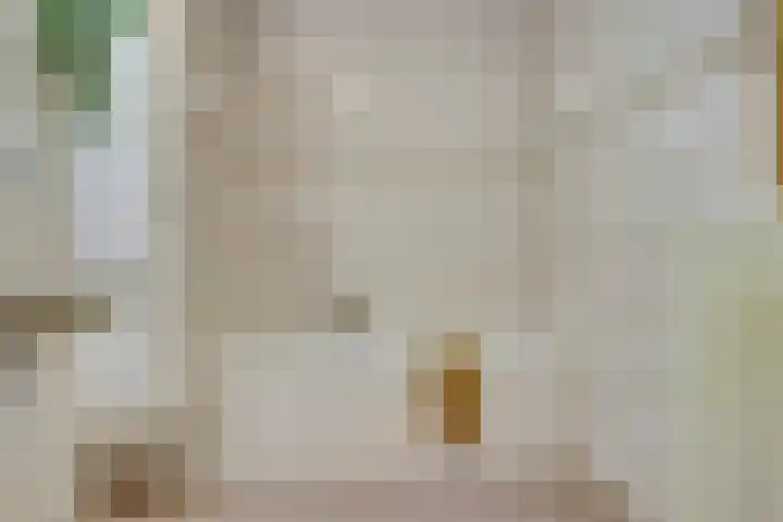 Rudolf Steinerlaan 185 Zutphen thumbnail 26