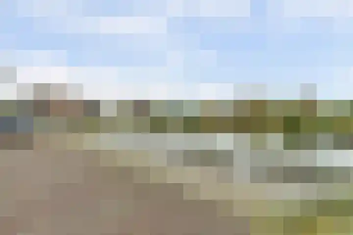 Rudolf Steinerlaan 185 Zutphen thumbnail 37
