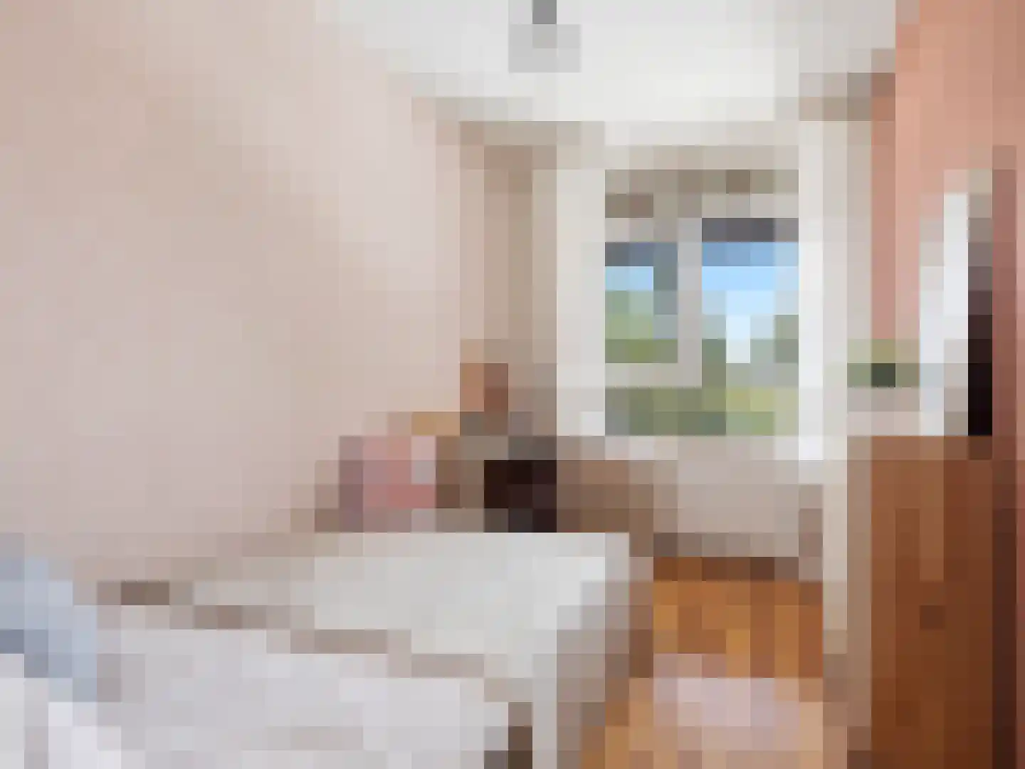Rudolf Steinerlaan 37 Zutphen thumbnail 23