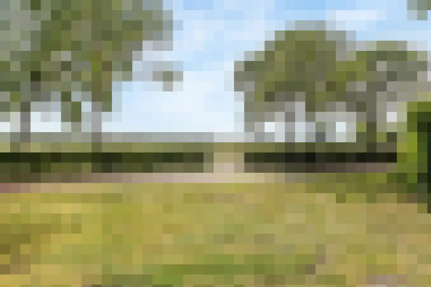 Rudolf Steinerpad 10 Oud-Beijerland thumbnail 31