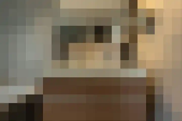 Rudolf Steinerpad 8 Oud-Beijerland thumbnail 31