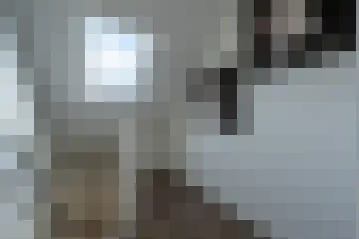 Rudolf Steinerpad 8 Oud-Beijerland thumbnail 37