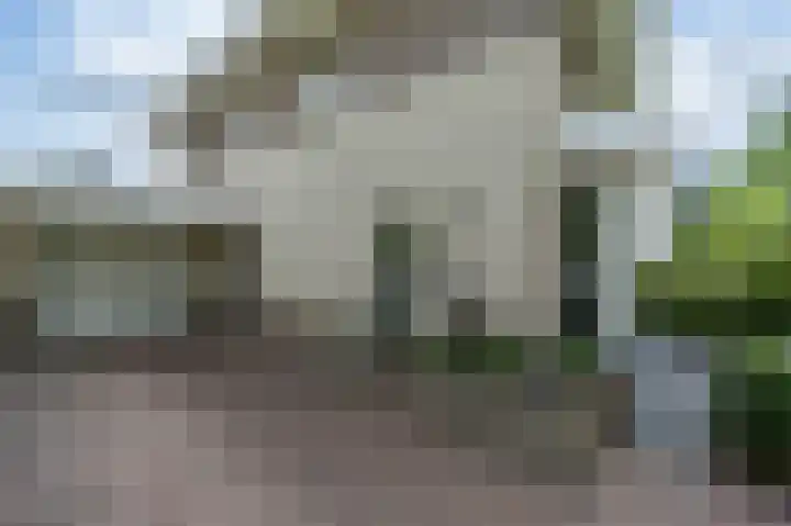 Rudolf Steinerpad 8 Oud-Beijerland thumbnail 5