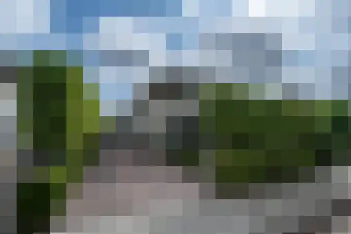 Rudolf Steinerpad 8 Oud-Beijerland thumbnail 55