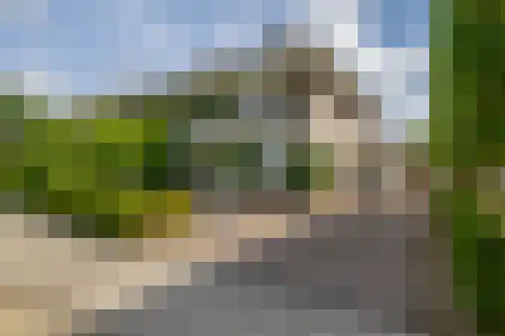 Rudolf Steinerpad 9 Oud-Beijerland thumbnail 10