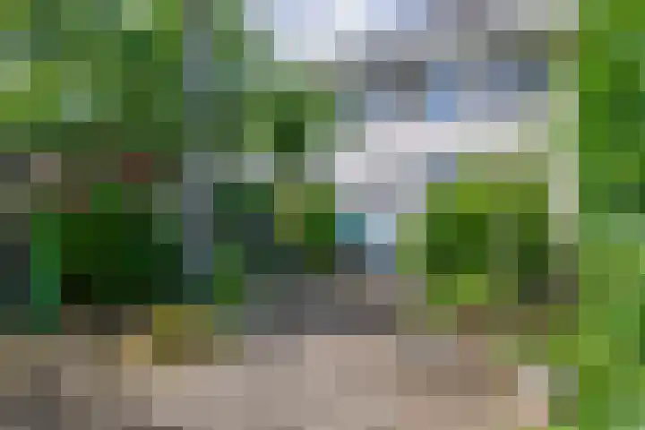 Rudolf Steinerpad 9 Oud-Beijerland thumbnail 30