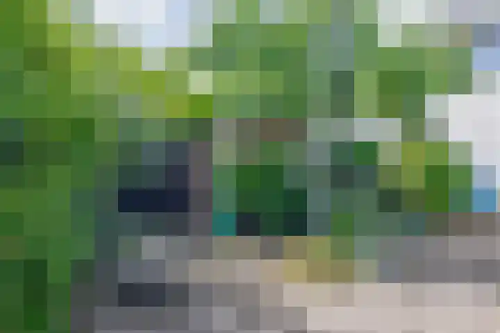 Rudolf Steinerpad 9 Oud-Beijerland thumbnail 31