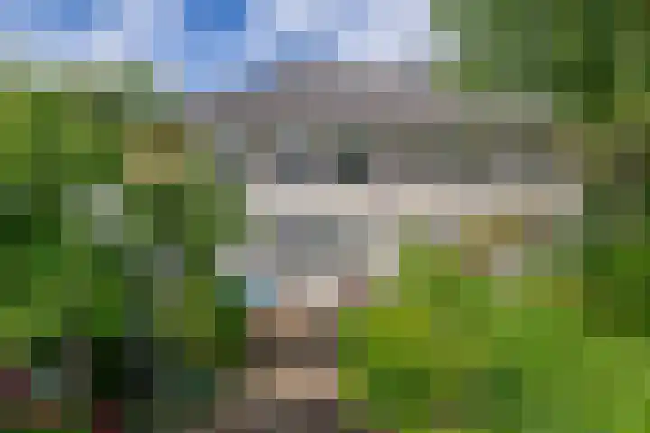 Rudolf Steinerpad 9 Oud-Beijerland thumbnail 33