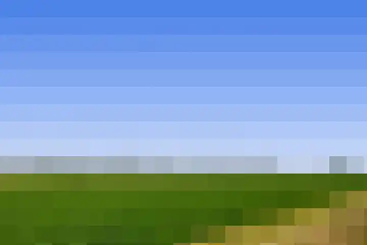 Rudolf Steinerpad 9 Oud-Beijerland thumbnail 48