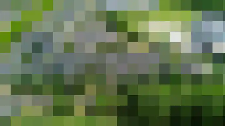 Rudolf Steinerpad 9 Oud-Beijerland thumbnail 5