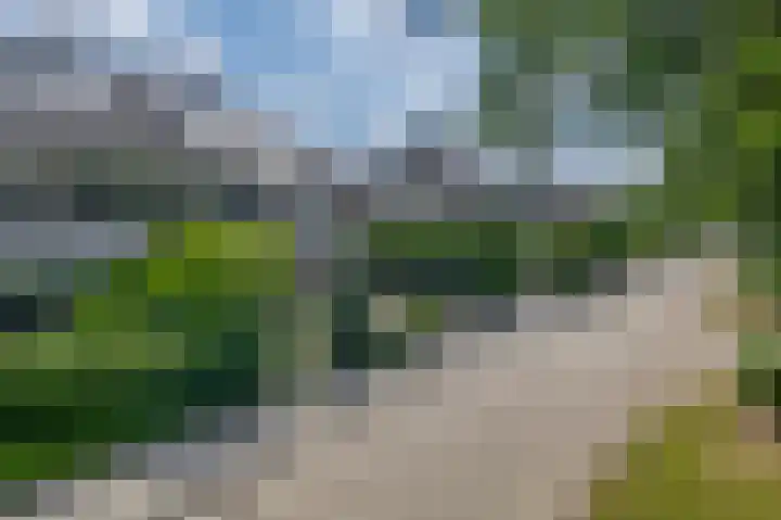 Rudolf Steinerpad 9 Oud-Beijerland thumbnail 8