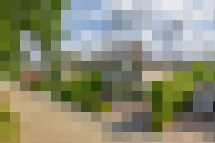 Rudolf Steinerpad 9 Oud-Beijerland thumbnail 9