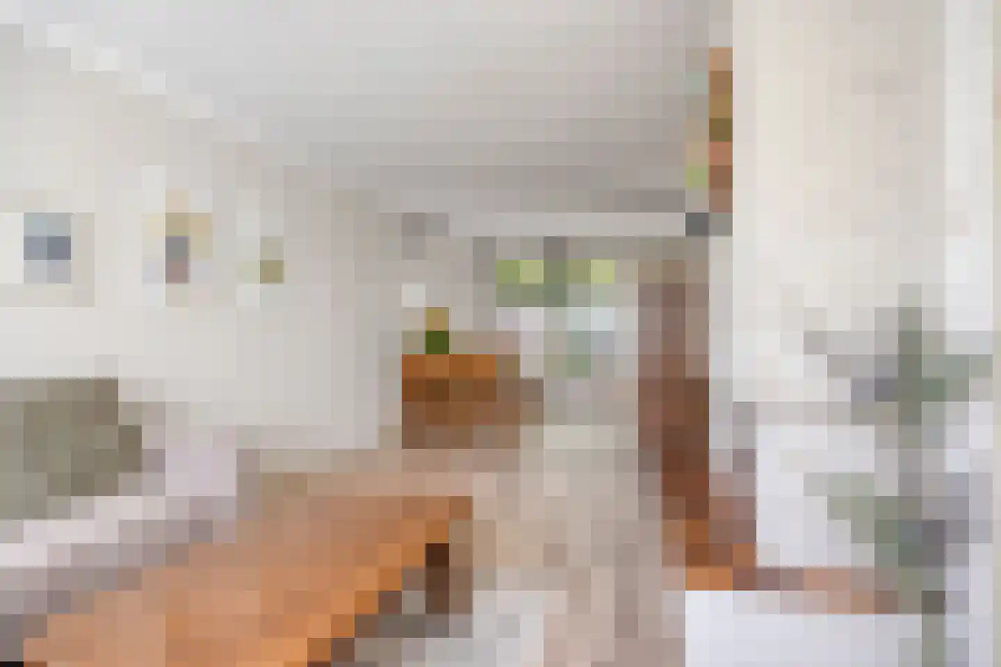 Rudolf van Baarlestraat 16 Oss thumbnail 9