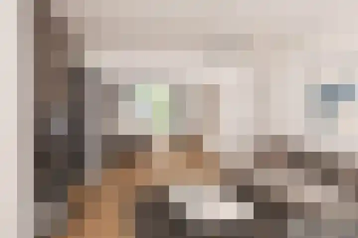 Rudolf van Baarlestraat 18 Oss thumbnail 11