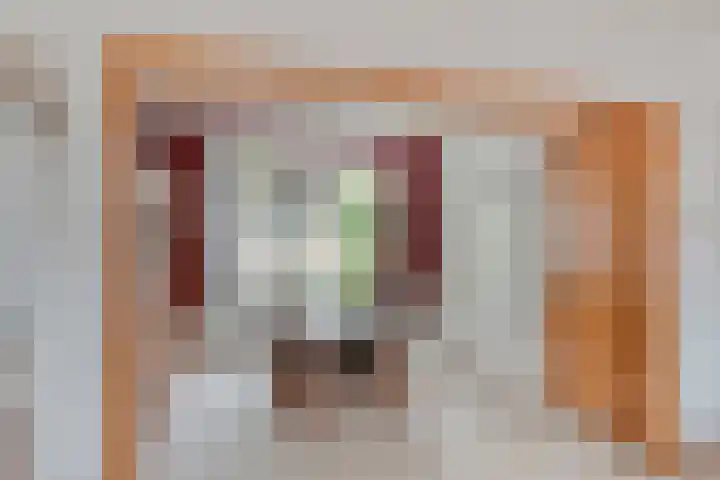 Rudolf van Baarlestraat 18 Oss thumbnail 12