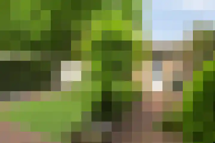 Rudolf van Baarlestraat 18 Oss thumbnail 28