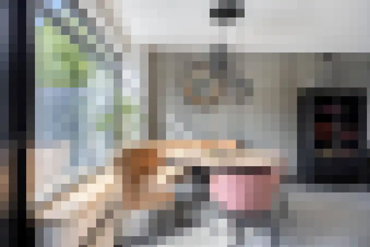 Rudolf van Baarlestraat 6 Oss thumbnail 14
