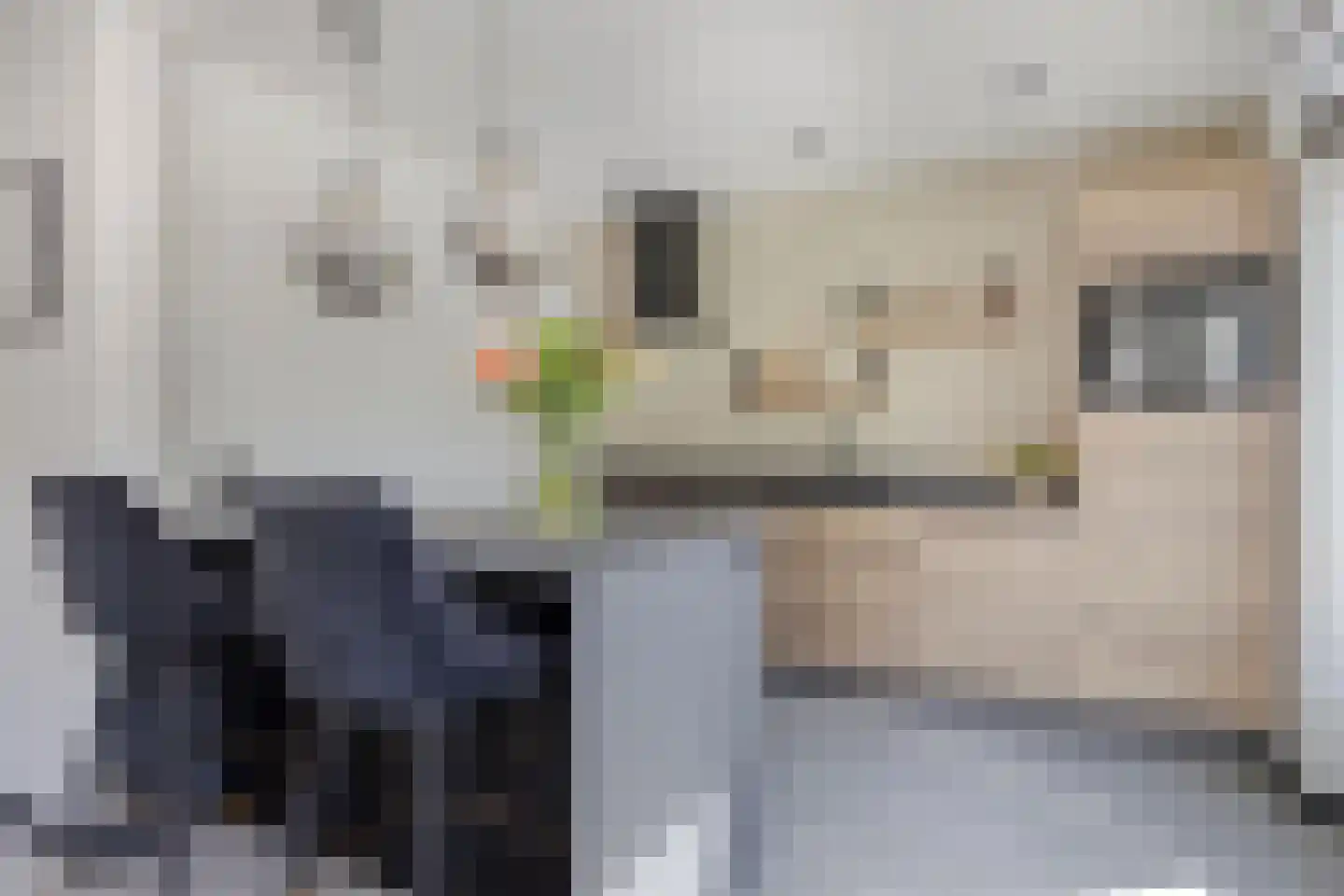 Rudolf van Baarlestraat 6 Oss thumbnail 17