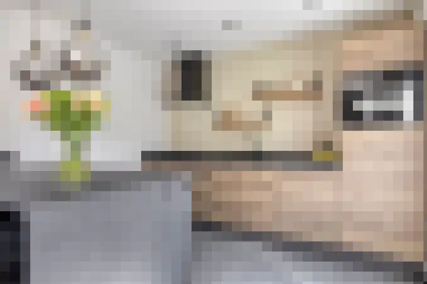 Rudolf van Baarlestraat 6 Oss thumbnail 20