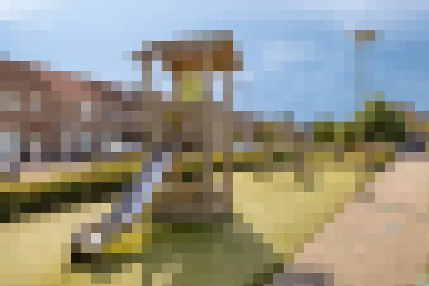 Rudolf van Baarlestraat 6 Oss thumbnail 42