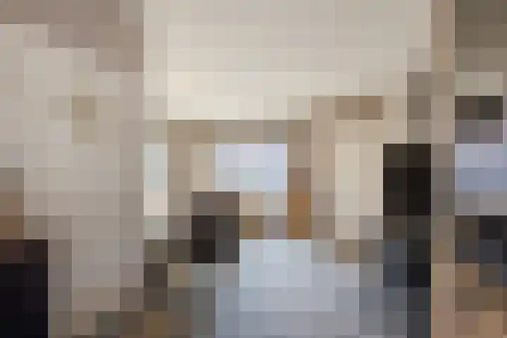 Rudolf van Diepholtstraat 15 Vollenhove thumbnail 10