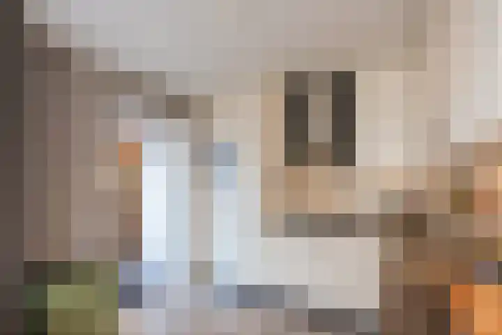 Rudolf van Diepholtstraat 15 Vollenhove thumbnail 12