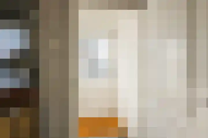 Rudolf van Diepholtstraat 15 Vollenhove thumbnail 16