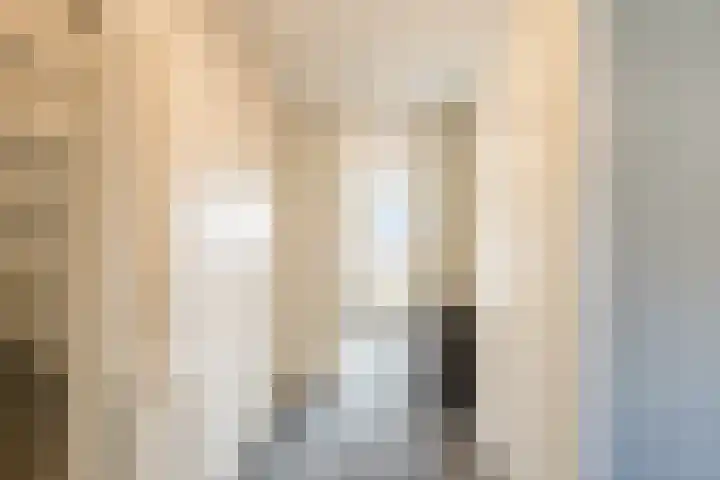 Rudolf van Diepholtstraat 15 Vollenhove thumbnail 26