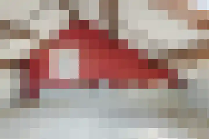 Rudolf van Diepholtstraat 15 Vollenhove thumbnail 28