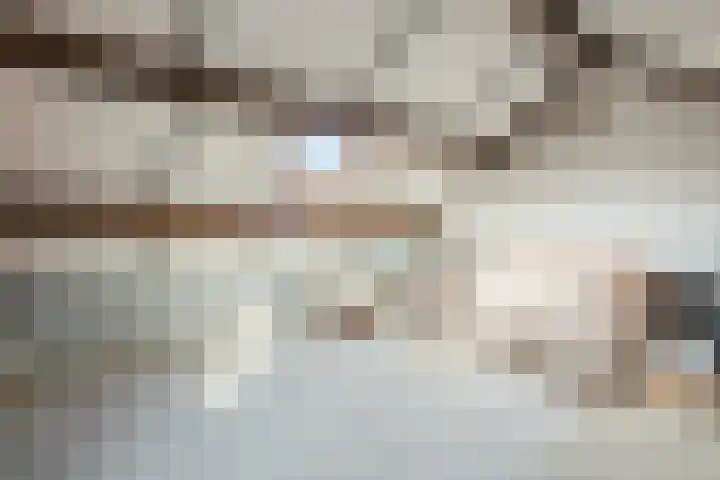 Rudolf van Diepholtstraat 15 Vollenhove thumbnail 30