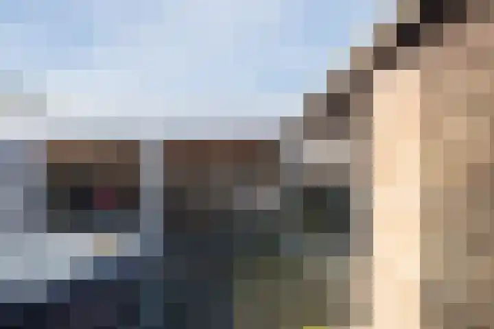 Rudolf van Diepholtstraat 15 Vollenhove thumbnail 34