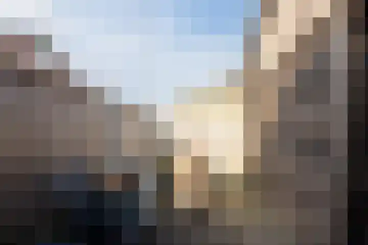 Rudolf van Diepholtstraat 15 Vollenhove thumbnail 37
