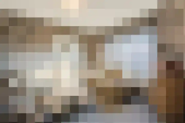 Rudolf van Diepholtstraat 15 Vollenhove thumbnail 5
